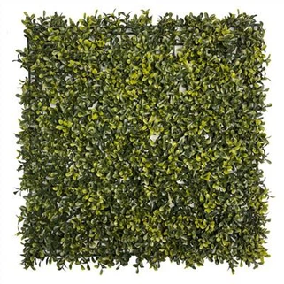 Umelý buxus